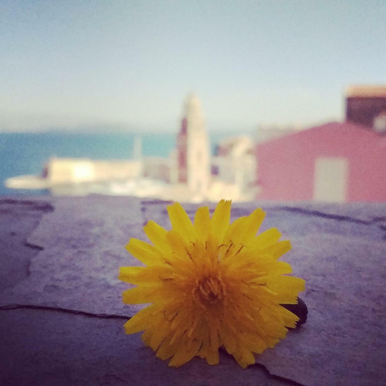 Il Vecchio E Il Mare Bed and Breakfast Gaeta Buitenkant foto